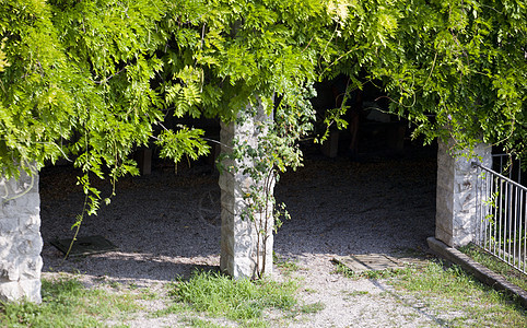 皮尔哥拉植被码头植物藤蔓凉亭乔木公园凉棚图片
