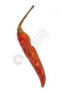 白色背景的干红辣椒植物香料寒冷蔬菜胡椒红色食物图片