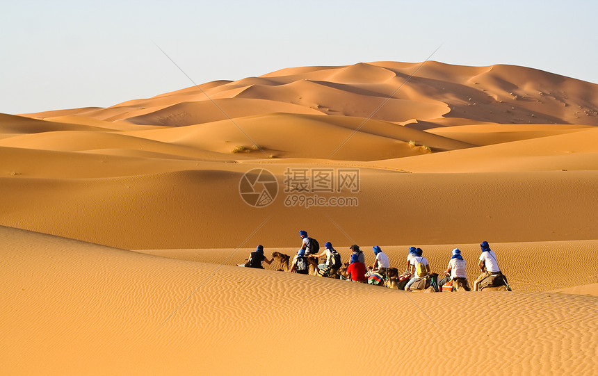 穿越撒哈拉沙漠沙丘的骆驼大篷车图片