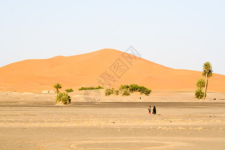 摩洛哥沙漠沙丘地貌图片