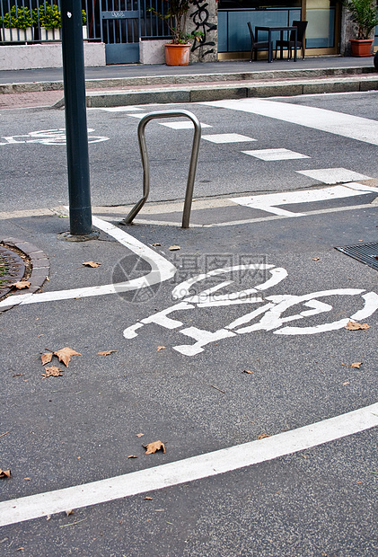 自行车路径树叶街道路标运输警告枯叶白色季节图片