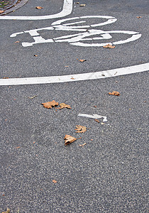 自行车路径运输枯叶路标树叶街道警告白色季节图片