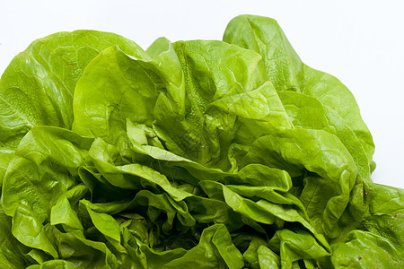 白色背景孤立的新鲜绿色生菜沙拉光合作用植物学生产蔬菜食品花园叶绿素叶子营养食物图片
