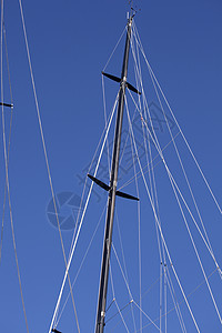 树蓝色微风天堂帆船衬套海洋分支机构血管波浪航行图片