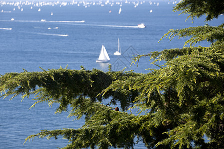 2010年巴科拉纳浮标帆船复数衬套天堂分支机构优胜者血管航行蓝色图片