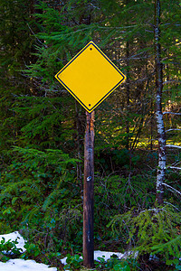 空白提示符号森林黄色正方形运输冒险钻石黑色树木危险警告图片