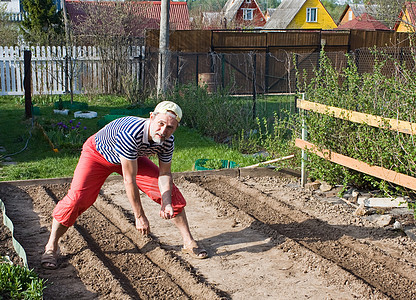 春天在花园里工作 播种蔬菜作物种植方法季节爱好植物园艺凉亭土地草药土壤图片
