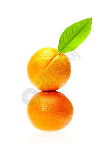 白纸上隔离的绿叶橙橙子绿色剪裁食物白色小路叶子水果图片