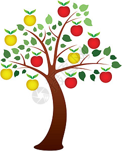 矢量苹果树白色绘画艺术水果红色收成木头绿色叶子插图图片