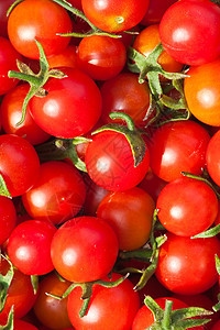 红番茄樱桃 背景农场草地水果花园厨房植物群红色饮食蔬菜营养图片
