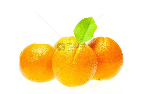橙色 白叶与白叶隔绝剪裁叶子食物绿色白色水果小路橙子图片