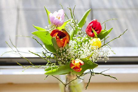 带郁金香的春花束家庭团体黄色花瓣美丽季节礼物紫色摄影花瓶图片
