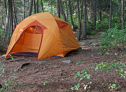 森林中的橙色帐篷图片