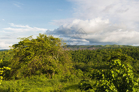 安第斯山脉的植被图片