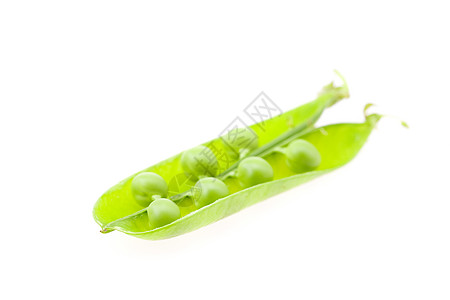 白上孤立的豌豆绿色水平白色市场花园食物宝藏收获生活种子图片