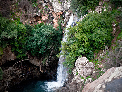 巴尼亚斯是戈兰高地的自然保护区池塘岩石溪流流动悬崖植被旅游石头绿色植物生长图片