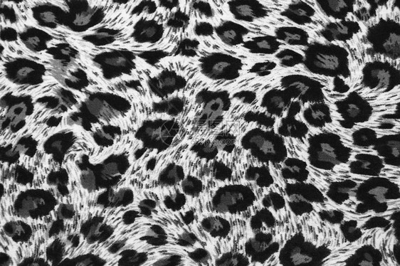 老虎结构黑色材料织物猎豹棕色白色墙纸荒野图片