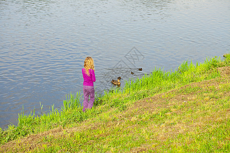 女孩看着鸭子和鸭子的鸭子池塘羽毛沉思反射鸟类太阳女孩们假期乐趣游泳图片