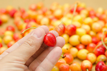 樱桃在握中美丽美食团体花园收获植物浆果食物手指红色图片