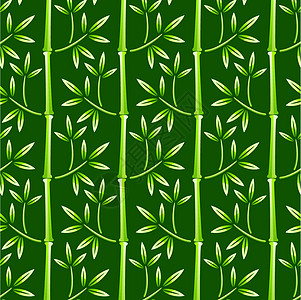 竹制壁纸热带叶子文化环境植物生长白色生活丛林竹子图片