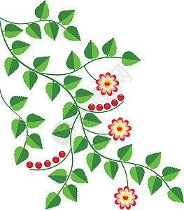 矢量花卉背景花园卡片条纹野生动物浆果黄色叶子艺术红色绘画图片