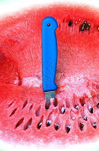 西瓜红色果汁营养美味种子维生素花园香气水果食物图片