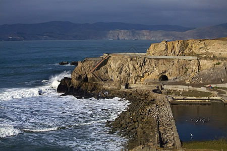 圣弗朗西斯科州加利福尼亚市Lobos海豹点图片
