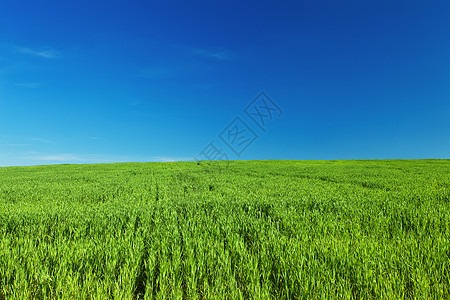 绿草和蓝天空土地场地牧场环境阳光景天空太阳公园美化图片