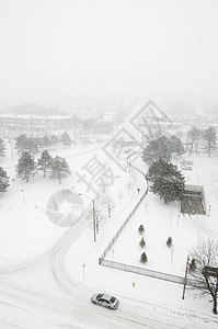 汽车LED灯雪暴大街暴风雪城市景观日光交通运输住宅树木街道背景