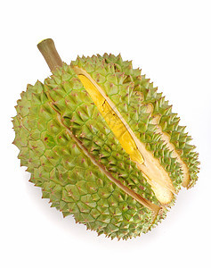 Durian 孤立在白色背景上水果情调榴莲异国食物季节热带营养气味图片