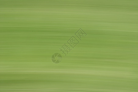 绿色运动模糊的抽象纹理水平速度叶子图片
