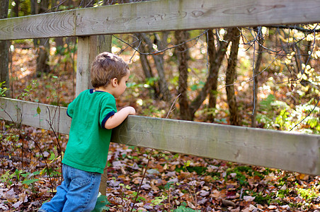 秋季男孩栏杆孩子栅栏男生季节树叶森林风景图片