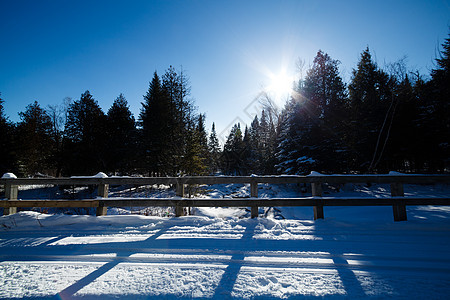 冬季风景蓝色越野天空晴天运动季节踪迹森林太阳滑雪图片