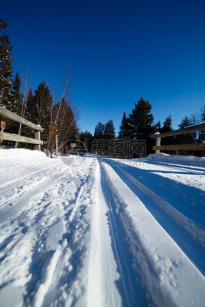 冬季风景天空运动晴天踪迹越野森林滑雪季节蓝色图片