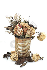 锡罐中的干花金属叶子玫瑰垃圾碎片氧化风化白色图片