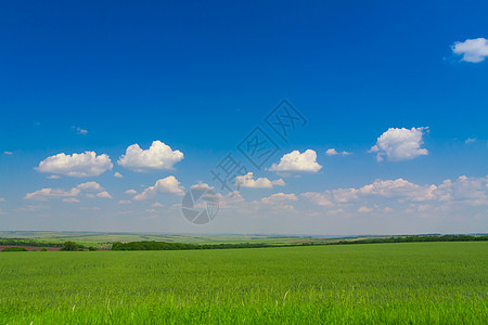 自然景观 蓝色的天空和云彩场地季节植物群农场植物牧场日落农业远景农村图片