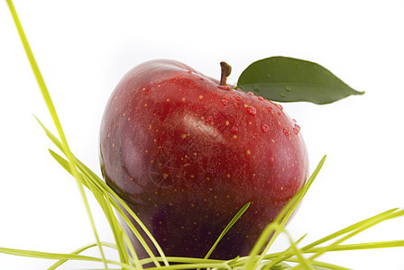 白色上孤立的红色苹果雨滴果汁液体小吃节食水果早餐美食食物图片