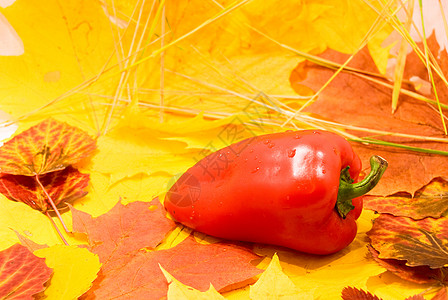 秋季死寂生命蔬菜香料宏观厨房洋葱水果滚动烹饪别针燃烧图片