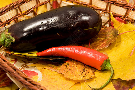 秋季死寂生命食物洋葱胡椒烹饪叶子辣椒别针树木团体厨房图片