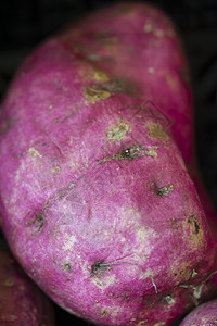 红土豆食物土豆红色马铃薯蔬菜块状淀粉植物图片