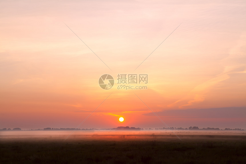 日出在草原上的雾中图片