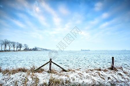 冬季典型的荷兰农田图片