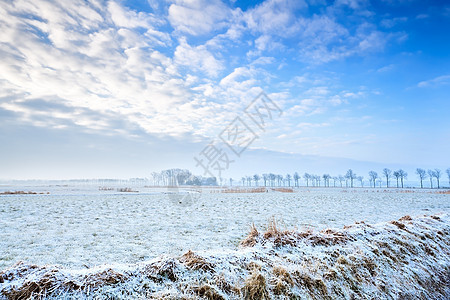 冬季风景平静图片