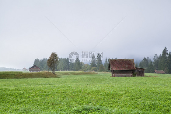 在雾中牧草的农户小屋图片