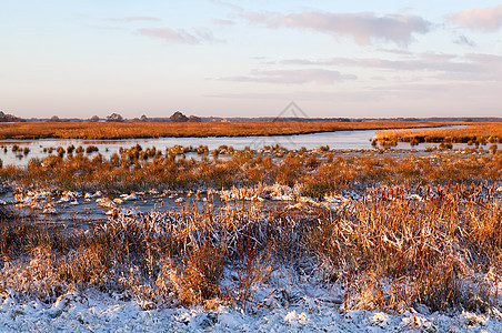 日出时冰冻的沼泽图片