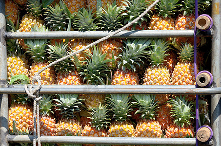 卡车菠萝美食农业产品养分植物学绿色黄色市场农场甜点图片