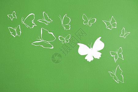 白色圆光影飞翔的蝴蝶背景团体绿色材料墙纸背景图片