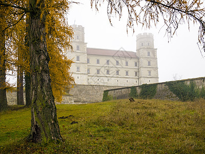 薄雾中的城堡图片
