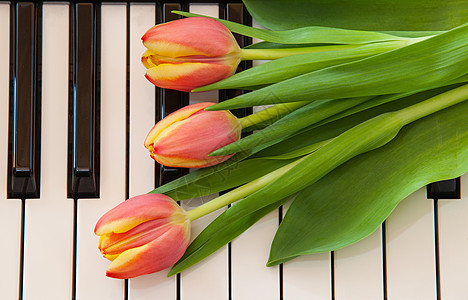 音乐和鲜花钢琴周年季节纪念日声音礼物旋律叶子生日庆典图片