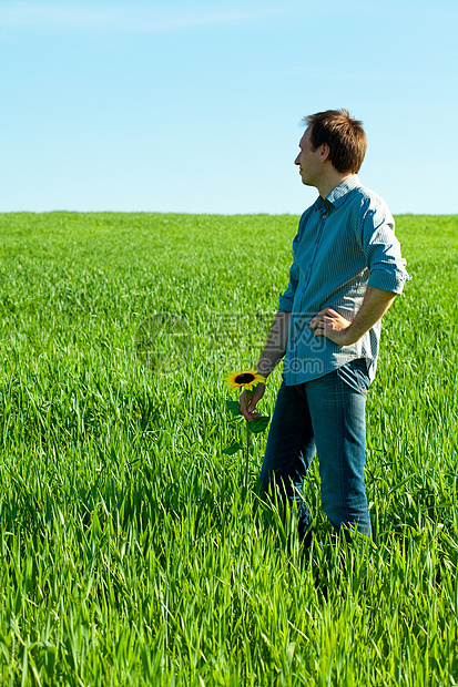 青年男子在绿地上与向日葵站在一起农业幸福美化植物摄影蓝色阳光场地种子太阳图片